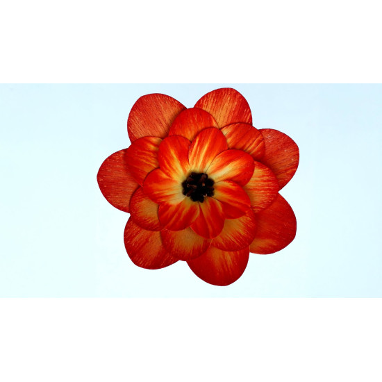Leseno cvetje - marjetica OKROGLA