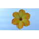 Leseno cvetje - srčasta marjetica